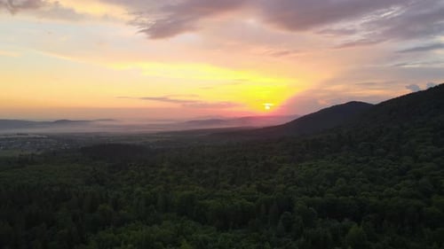 Vue aérienne de la forêt de pins verts avec des épinettes foncées couvrant les collines de montagne au coucher du soleil
