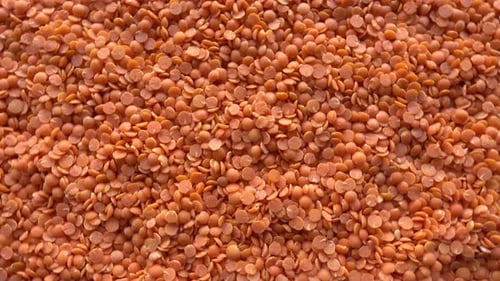 Pile of Dry Red Lentils Close Up