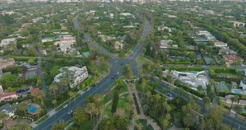 Aerial View of Urban Area with Palm Trees