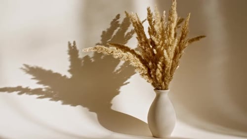 Dried Grasses in White Vase with Shifting Shadows