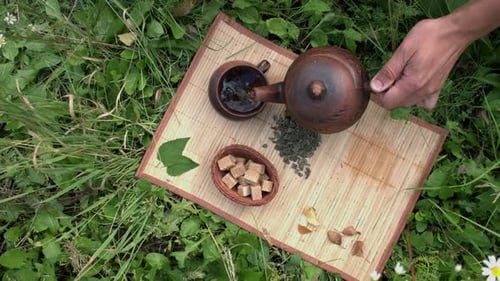 Pouring Tea in Grassy Field