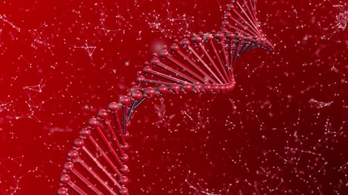 Red Plexus Dna Background