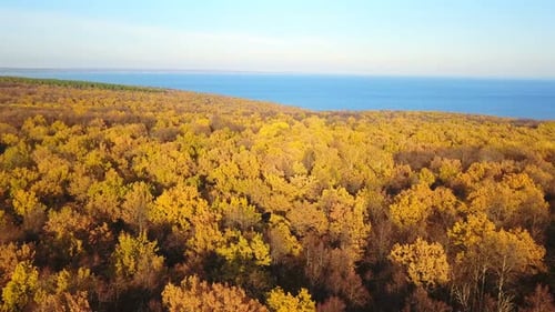 Naturaleza