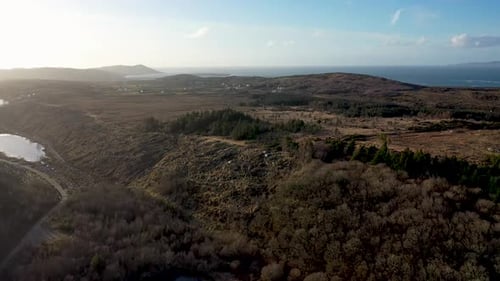O reflorestamento continua em Bonny Glen, no Condado de Donegal, Irlanda