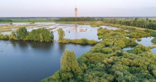 Luftaufnahme der überfluteten Auen der Maas mit Bäumen, Megen, Niederlande.