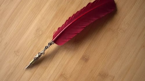 Red Feather Quill on Light Wood Background
