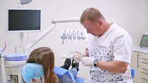 Dentist Explains Procedure to Patient Using Jaw Model