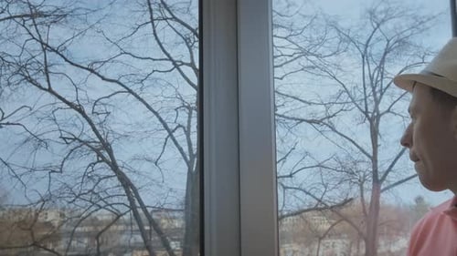 A Man Looks Out the Windows to the Street Outside the Window is a Large Tree Without Foliage