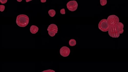 3D raspberry berries falls on black background