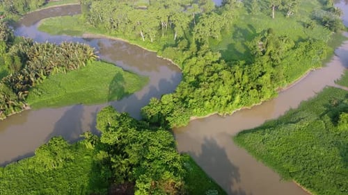 Aerial view green tree shadow reflect in the water