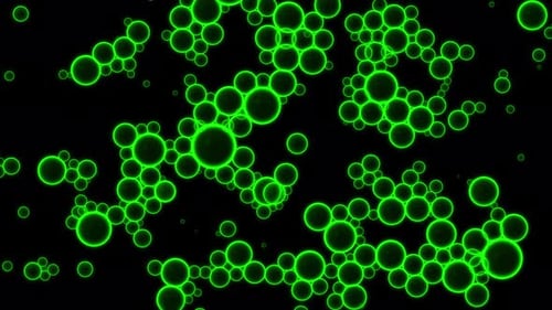 Oil green drops moving in water