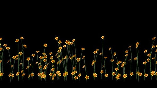 Flores amarillas