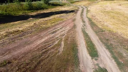 Country road among green fields