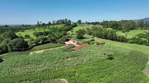 Scenic Farmland Aerial View on Sunny Day