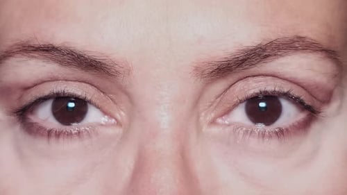 Extreme Close Up of a Woman's Brown Eyes