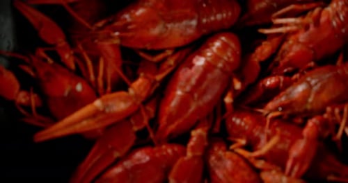 Red Boiled Crayfish in the Bowl.