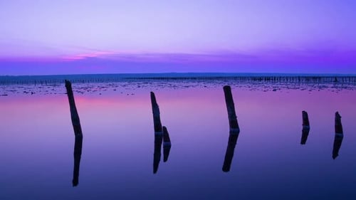 Wooden Posts Reflected in Water at Sunset