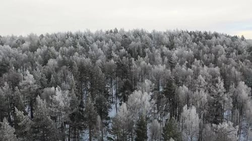 Cabeza aérea suave sobre el Zumbido Cinemática de invierno del bosque noruego. Cámara voladora.