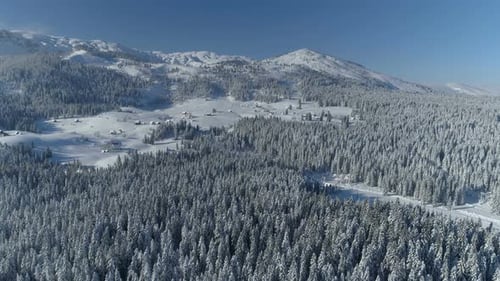Flight Over the Snowcovered Spruce Forest with Mountains in the Background