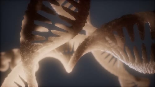 Loop Double Helical Structure of Dna Strand Close-up Animation