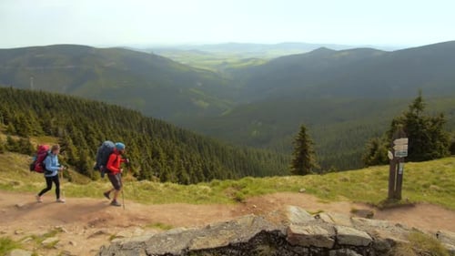 Hiking couple: two hikers (man and woman) walking together on the trail with backpacks