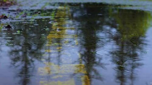 Regen (4K)