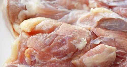Close Up of Premium Fresh Raw Chicken Thigh
