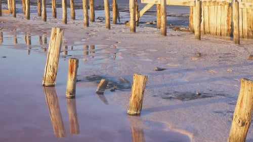 Wooden Pillars On A Pink Salt Lake 2
