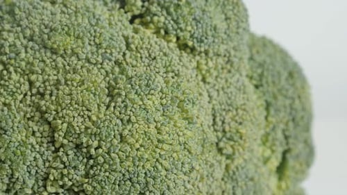 Tilting over Brassica oleracea broccoli floret close-up 4K footage