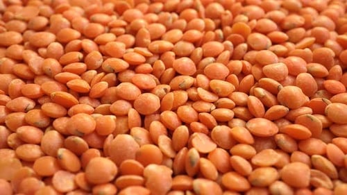 Close Up of Vibrant Dry Red Lentils