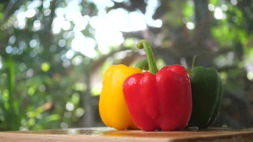 Colorful Bell Peppers Sprayed with Water Outdoors
