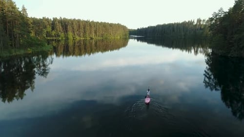Exploring Wild Lake Nature With SUP Board