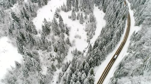 AERIAL: Car Driving Along the Forest Road in Winter
