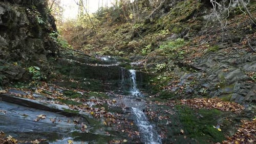 Cascade dans une forêt