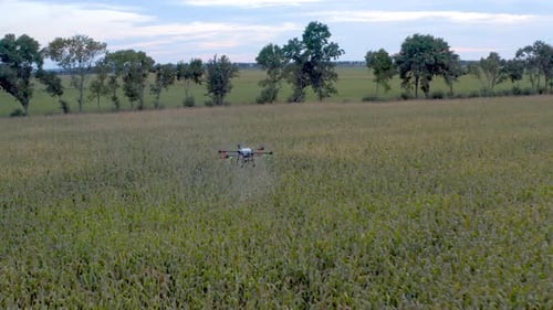 Agricultural Drone Flies Over Rural Crop Field