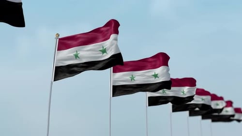 Syria Row Of Flags