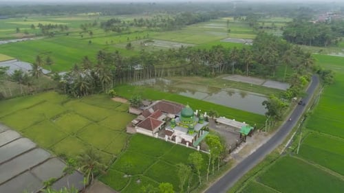 Mosque Among Rice Fields Java Indonesia