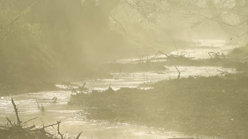 Río