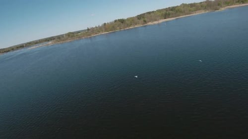 Fast and Maneuverable Flight Over the Lake with Reeds
