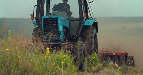 Tractor Driver Plows the Field Removes the Grass