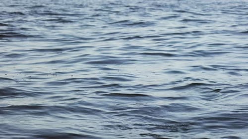 water background, the surface of the water sways