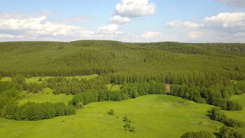 Green Forest Hills From Above