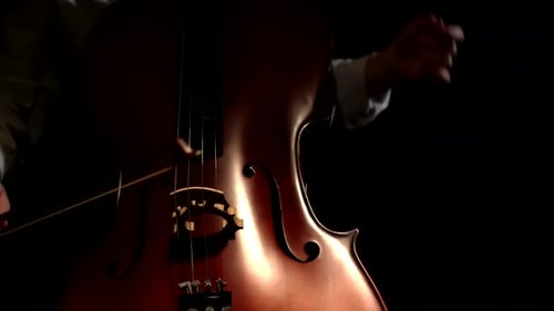 Cello Player With Bowed String Instrument