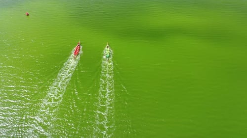 Aerial View of the Rowboats with Teams of Strong People Starting Along the Water Surface