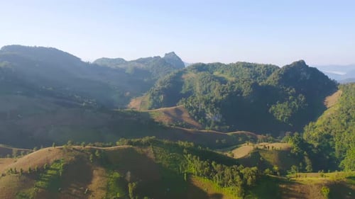 Aerial top view of forest trees and green mountain hills. Nature landscape background, Thailand.