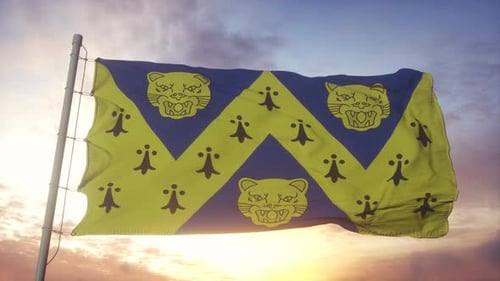 Waving Heraldic Flag with Panther Heads and Chevron Pattern