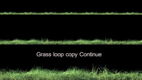 Grass Loop Weiter