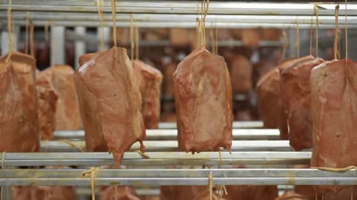 Hanging chunks of processed seasoned meat