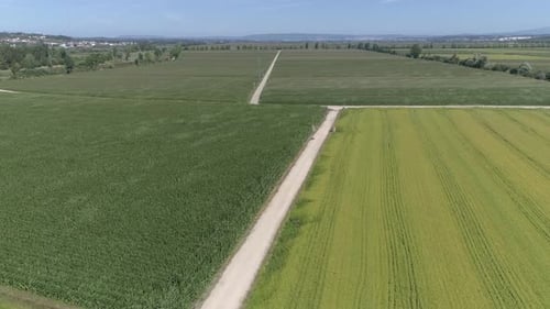 Aerial View of Green and Yellow Crop Fields