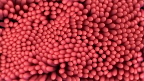 Animated Microscopic Villi Cell Movement Loop